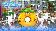 Penguin of the Week #54