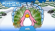 Penguin of the Week #7