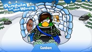 Penguin of the Week #59