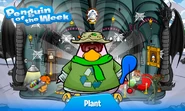 Penguin of the Week #31