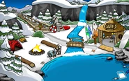 Camp Penguin