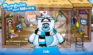 Penguin of the Week #37