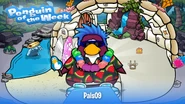 Penguin of the Week #67
