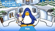 Penguin of the Week #134