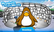Penguin of the Week #40