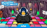 Penguin of the Week #3