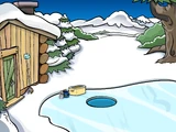 Ice Pond