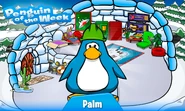 Penguin of the Week #8