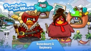 Penguin of the Week #51 & #52