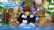 Penguin of the Week #62