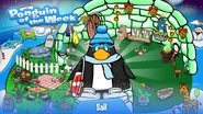 Penguin of the Week #56