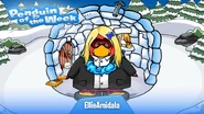 Penguin of the Week #45