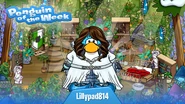 Penguin of the Week #122