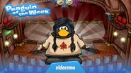 Penguin of the Week #140