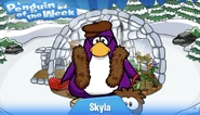 Penguin of the Week #17