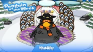 Penguin of the Week #49