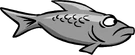 Gray Fish Ice Fishing