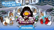 Penguin of the Week #103