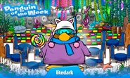 Penguin of the Week #23