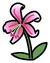 Lily Pin