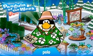 Penguin of the Week #19