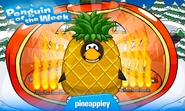 Penguin of the Week #18