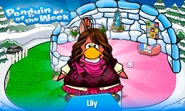 Penguin of the Week #24