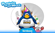 Penguin of the Week #12