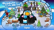 Penguin of the Week #46