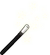 Magician's Wand