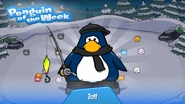Penguin of the Week #92