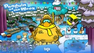 Penguin of the Week #53