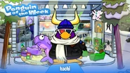 Penguin of the Week #55