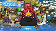 Penguin of the Week #111