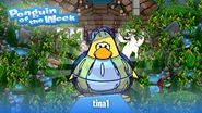 Penguin of the Week #77