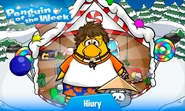 Penguin of the Week #20