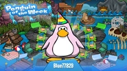 Penguin of the Week #137