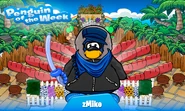 Penguin of the Week #4
