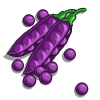 Purple Pod Peas (2 WB$)