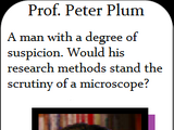 Prof. Peter Plum