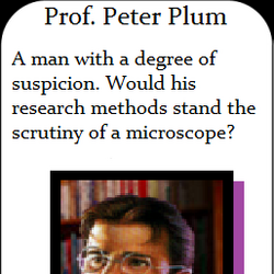 Prof. Peter Plum
