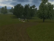 Sequence of Shoot-out with manual transmission.