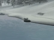 Sequence of aquatic displacement.