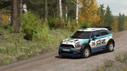 DiRT Rally's Countryman Rally in Finland.