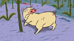 Domestic Pig | Cartoon Network Animals Wiki | Fandom Domestic Pig | Cartoon Network Animals Wiki | Fandom
