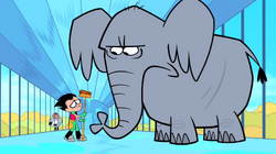 African Bush Elephant | Cartoon Network Animals Wiki | Fandom African Bush Elephant | Cartoon Network Animals Wiki | Fandom