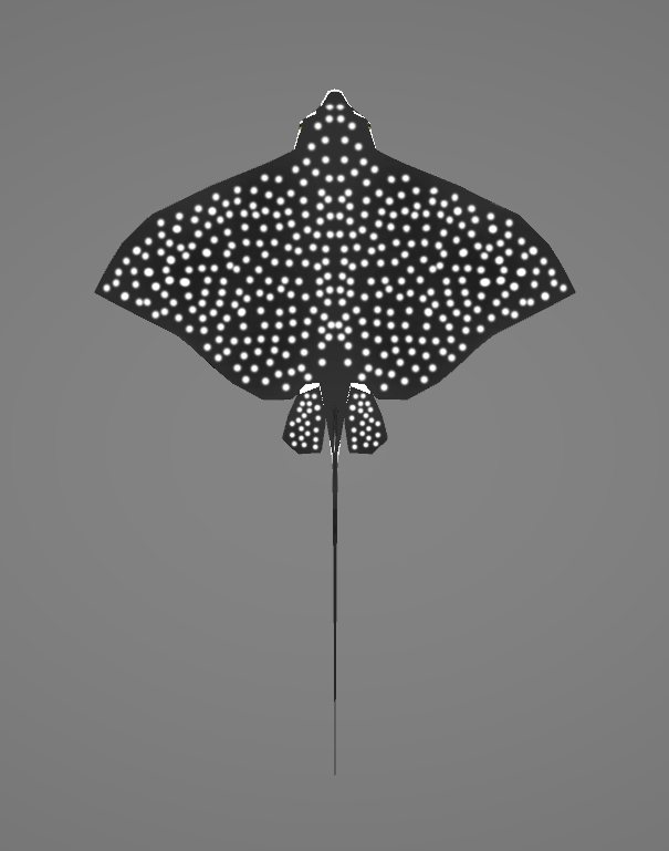 Spotted Eagle Ray | CatfishYAY's National Aquarium Wiki | Fandom