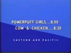 Roasted Chicken (blue) B