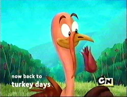 Turkey Days BTTS Bumper