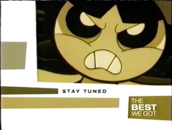 The Best We Got WBRB Bumper 4